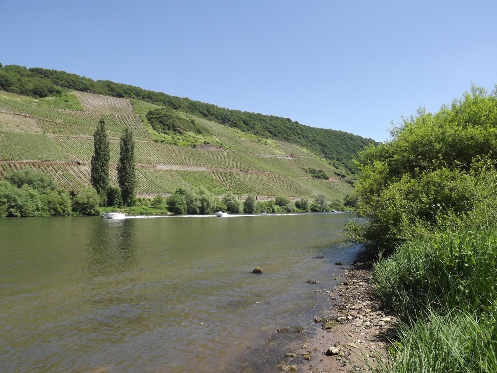 Ferienweingut Winnebeck Köwerich Стая снимка