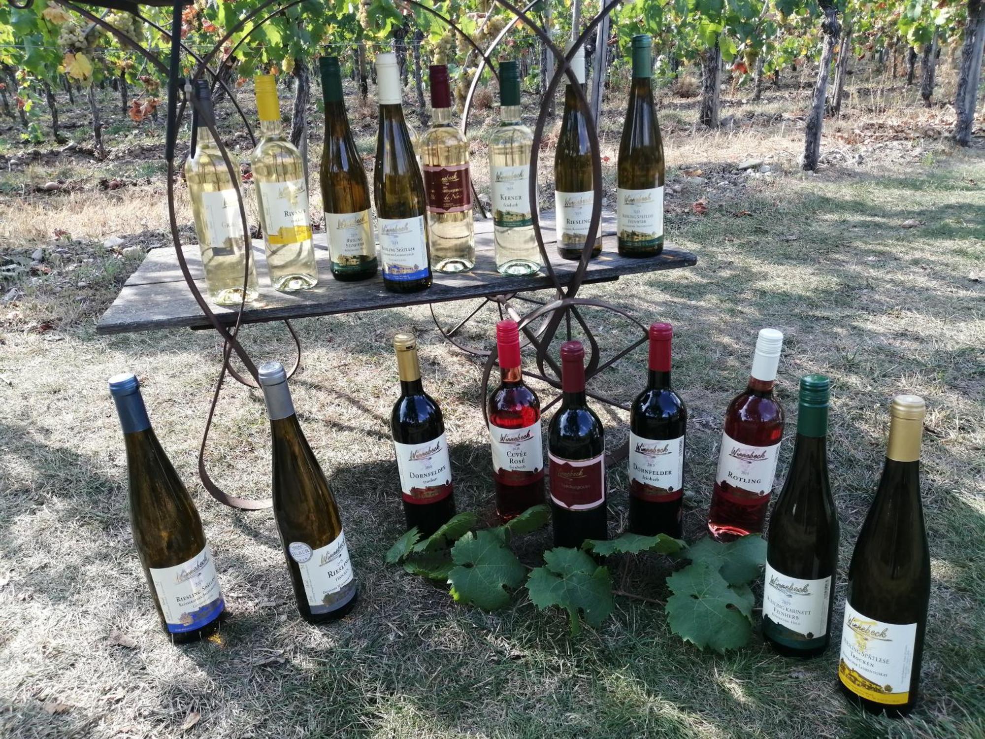 Ferienweingut Winnebeck Köwerich Екстериор снимка