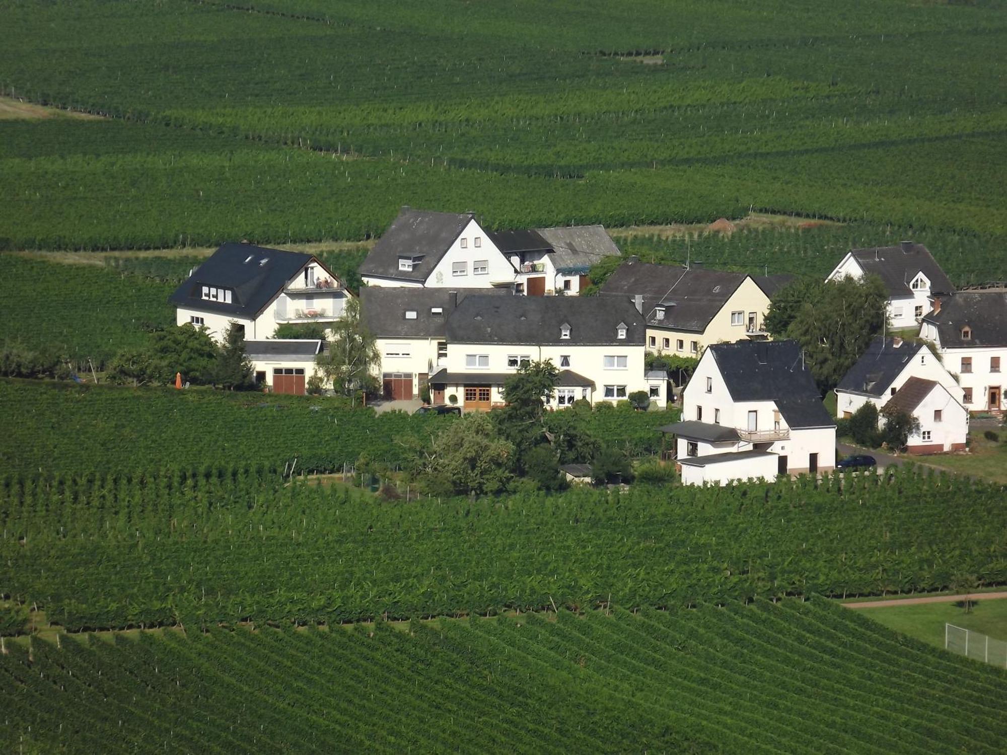 Ferienweingut Winnebeck Köwerich Стая снимка