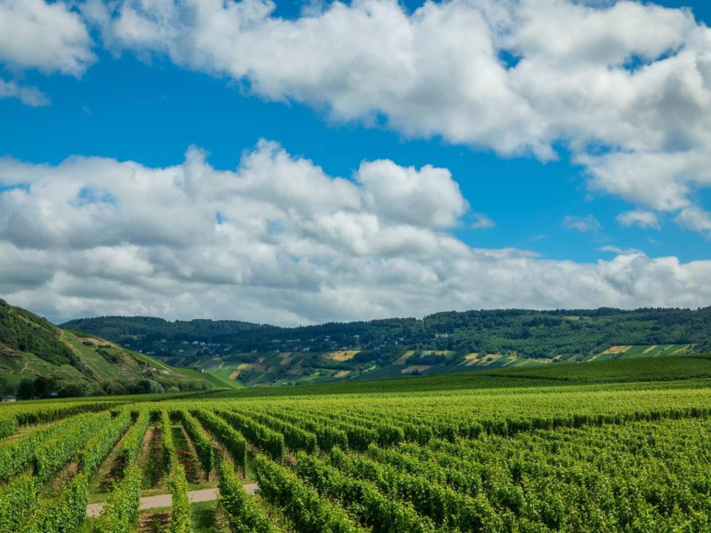 Ferienweingut Winnebeck Köwerich Екстериор снимка