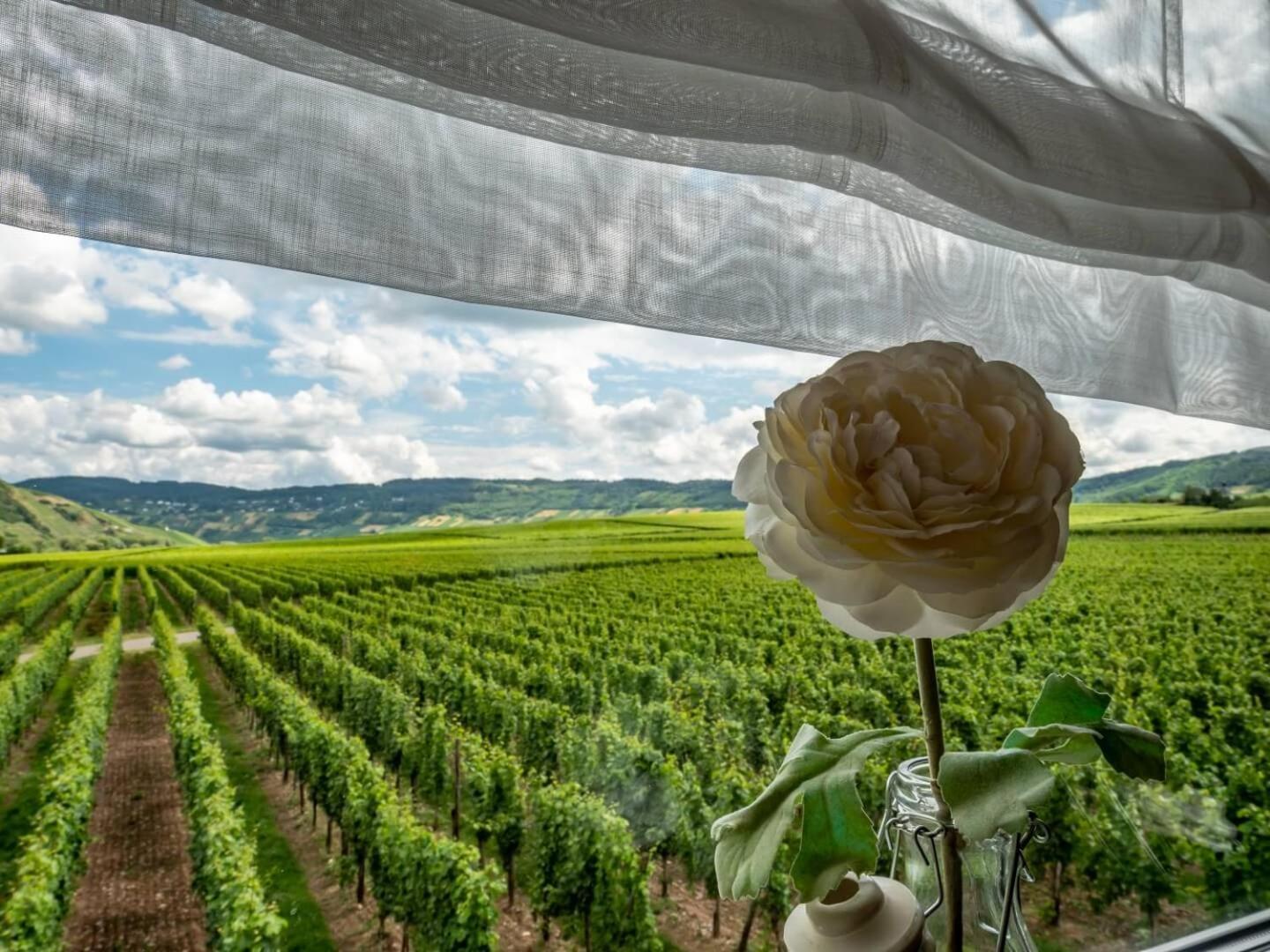 Ferienweingut Winnebeck Köwerich Екстериор снимка