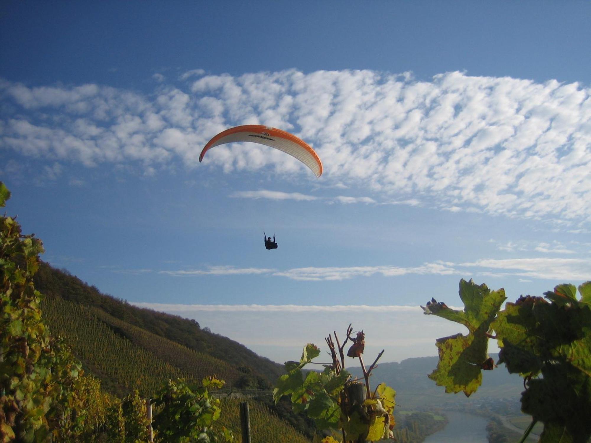 Ferienweingut Winnebeck Köwerich Екстериор снимка