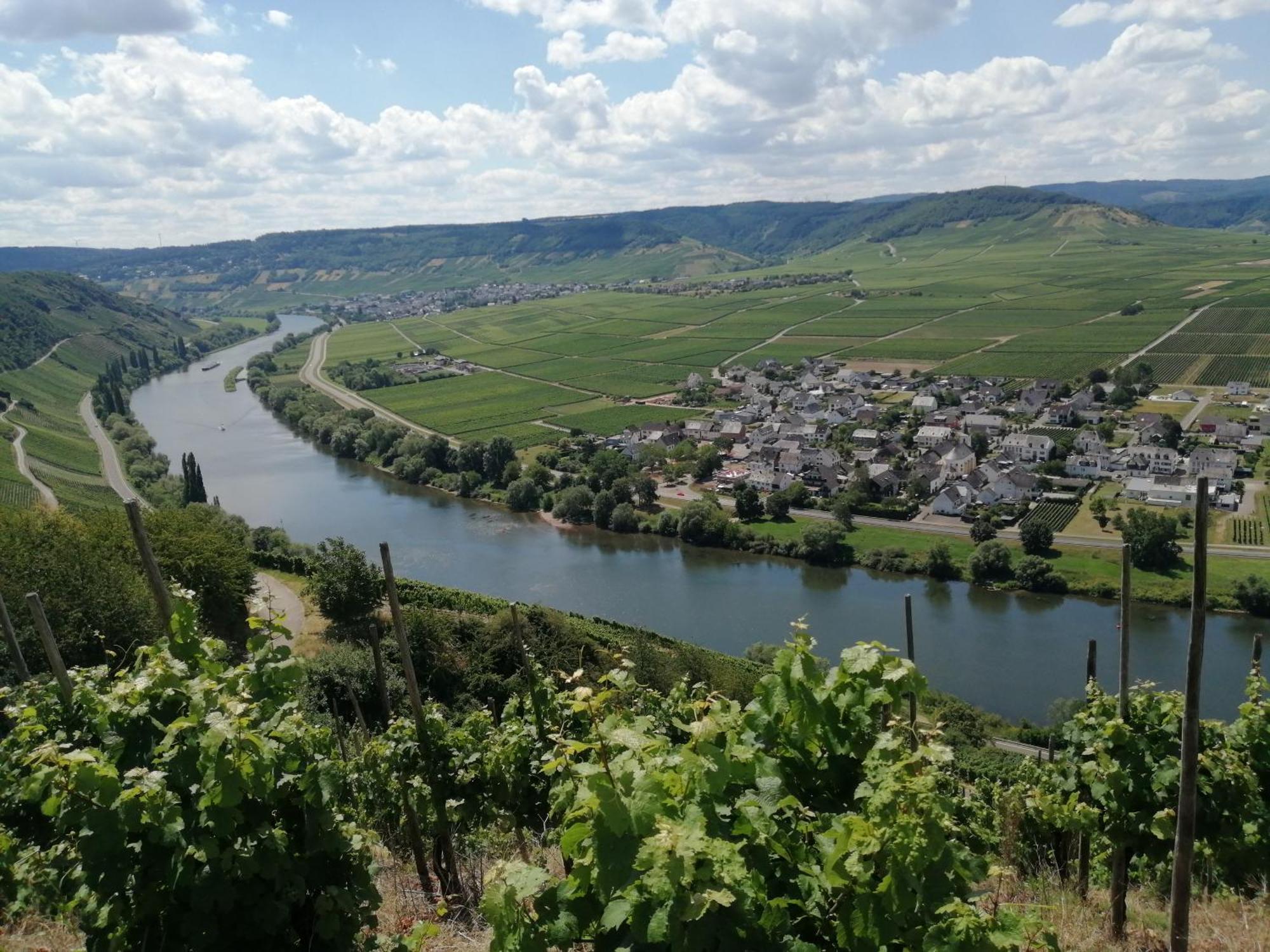 Ferienweingut Winnebeck Köwerich Екстериор снимка