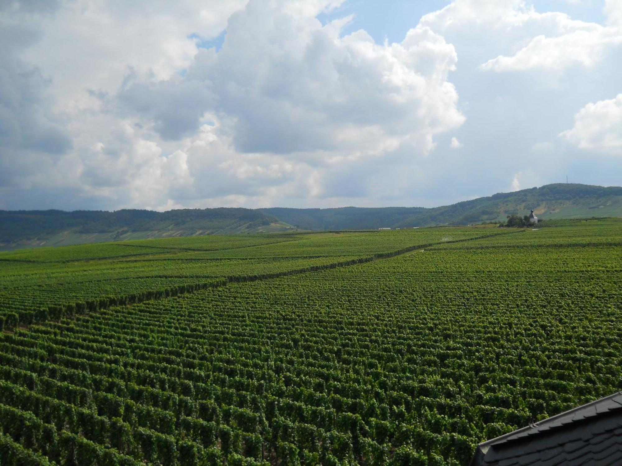 Ferienweingut Winnebeck Köwerich Екстериор снимка