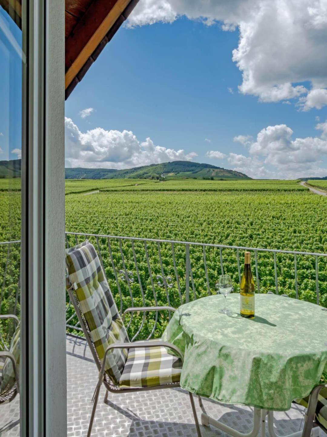 Ferienweingut Winnebeck Köwerich Екстериор снимка
